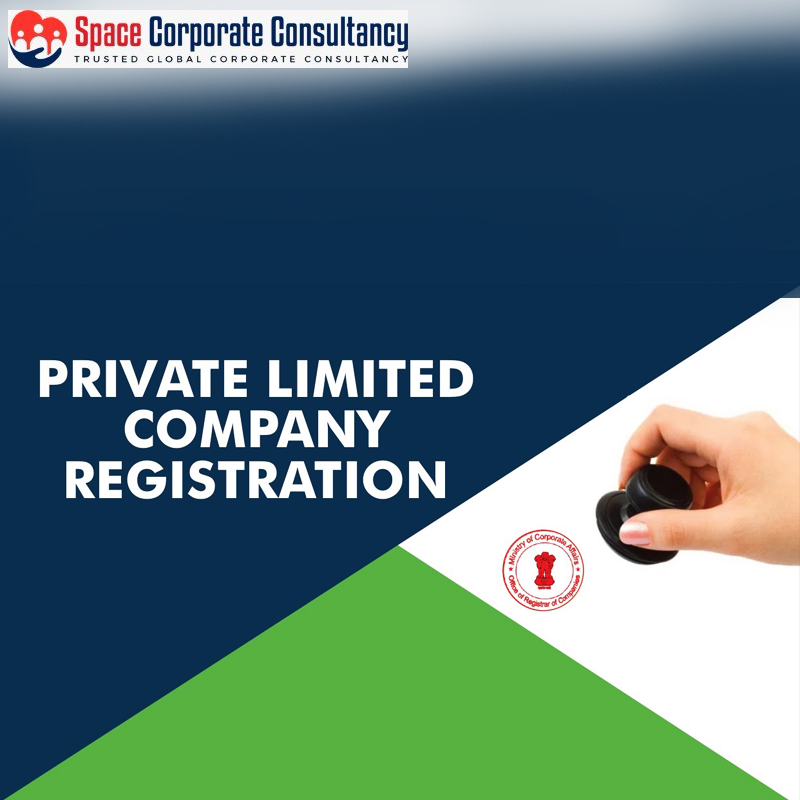 PRIVATE LIMITED COMPANY